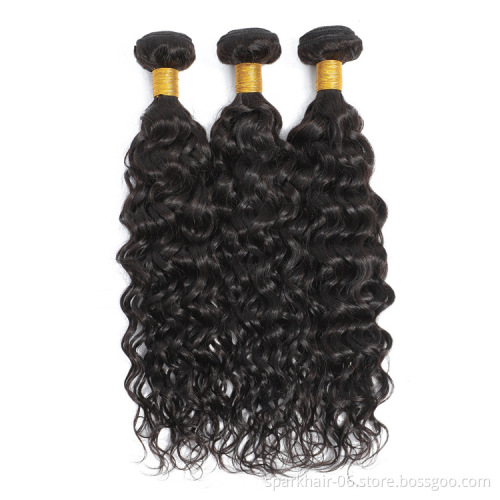 wholesale water wave bundles with closure brazilian  remy hair extensions for natural black color